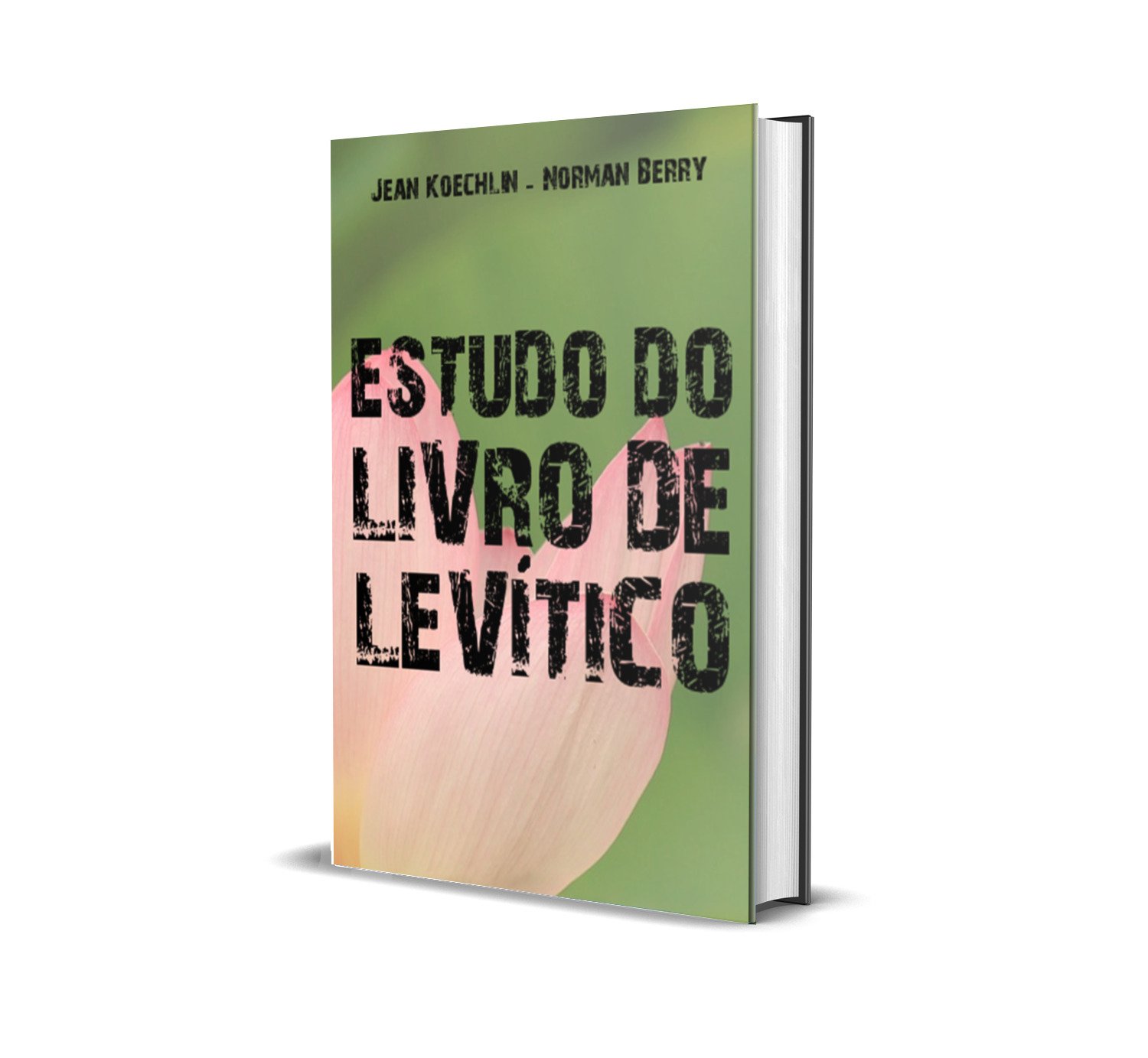 Levítico 19:11  Versículos, Palavras bíblicas, Bíblia